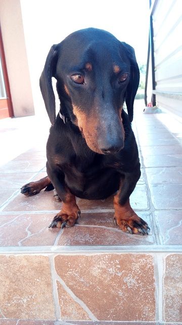 /txt/hirek/kepek/Ulefonemetal (18)_20160929.jpg 